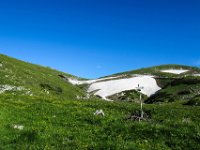011 von der Goasteign kommen wir auf das Plateau